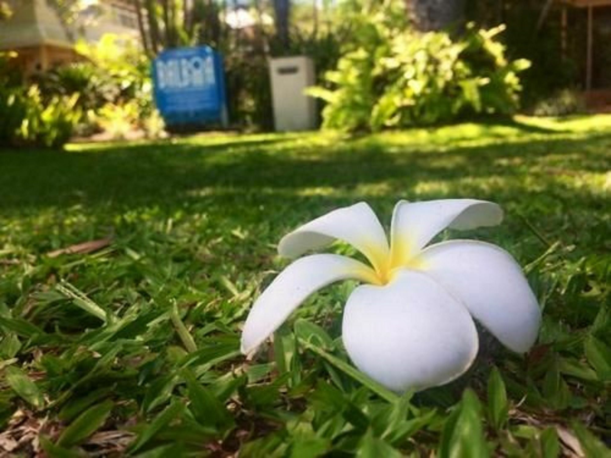 Balboa Apartments Port Douglas Exterior foto